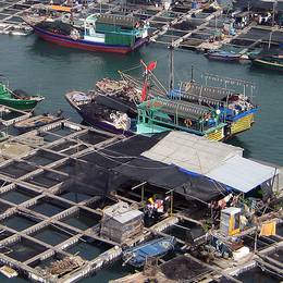 On-warter People, Hainan, 2007-12-29