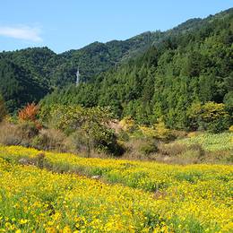 Daoxugou, 2014-09-20