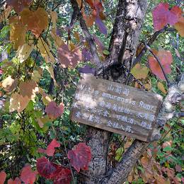 Daoxugou, 2014-09-20
