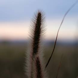 Nanshan Eco Park, 2014-09-16